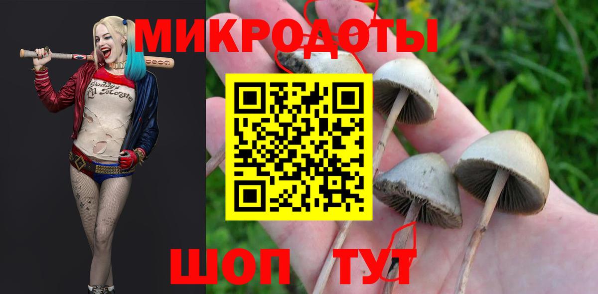 Галлюциногенные грибы мухоморы Калач-на-Дону